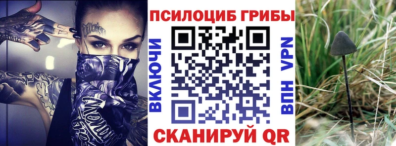 мега ССЫЛКА Западная Двина Галлюциногенные грибы ЛСД